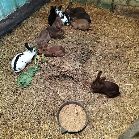 A La Ferme Apartment *